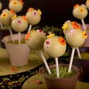 Cakepops with flowers