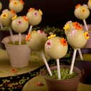 Cakepops avec fleurs