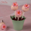 cakepops fleurs de cerisier