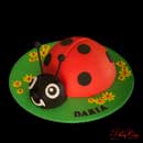 Ladybird cake