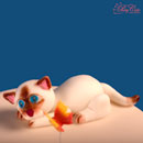 sugar cat